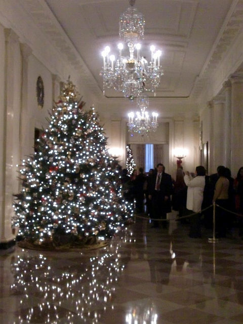 White House Christmas 2009 035.jpg
